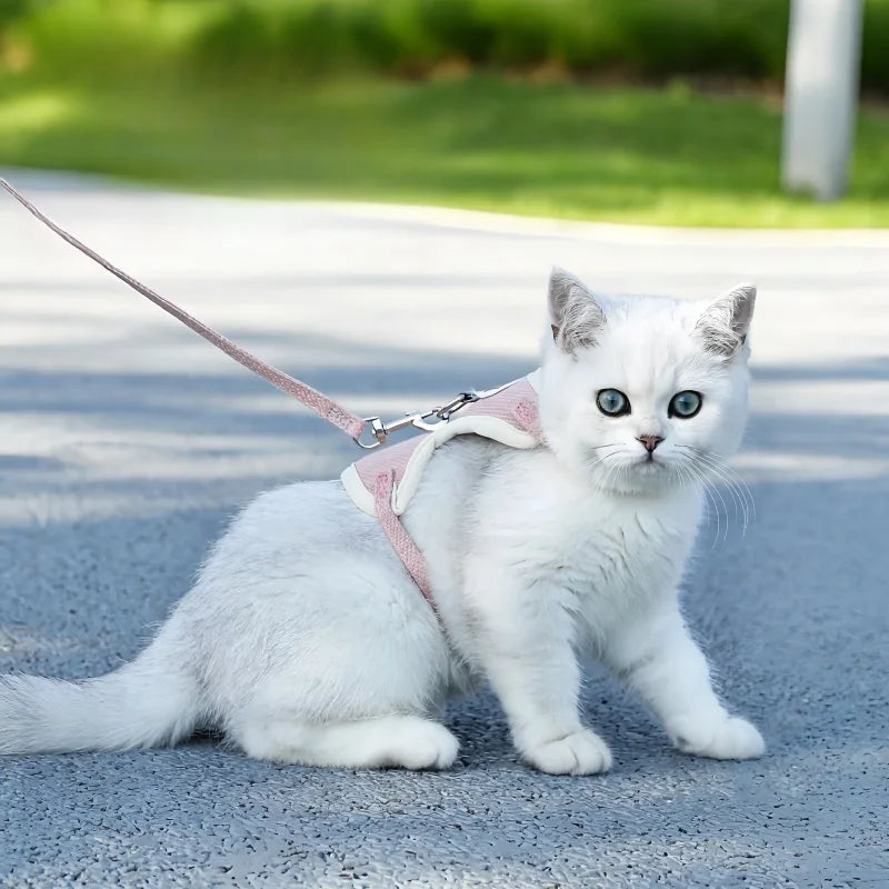 Adjustable Cat Dog Breathable Lead Rope