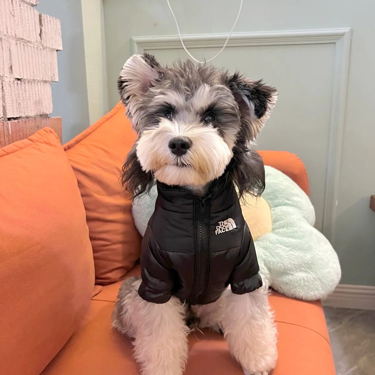 The Dog Face Winter Pet Dog Down Jacket